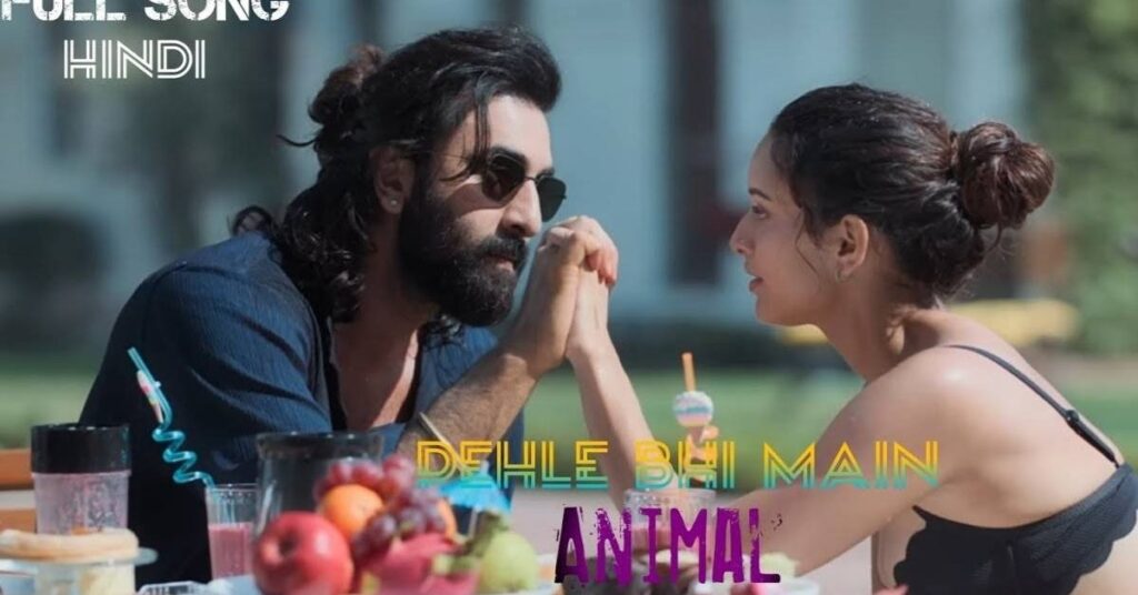 Pehle Bhi Main Lyrics Translation: Animal | Vishal Mishra | Pehli Dafa