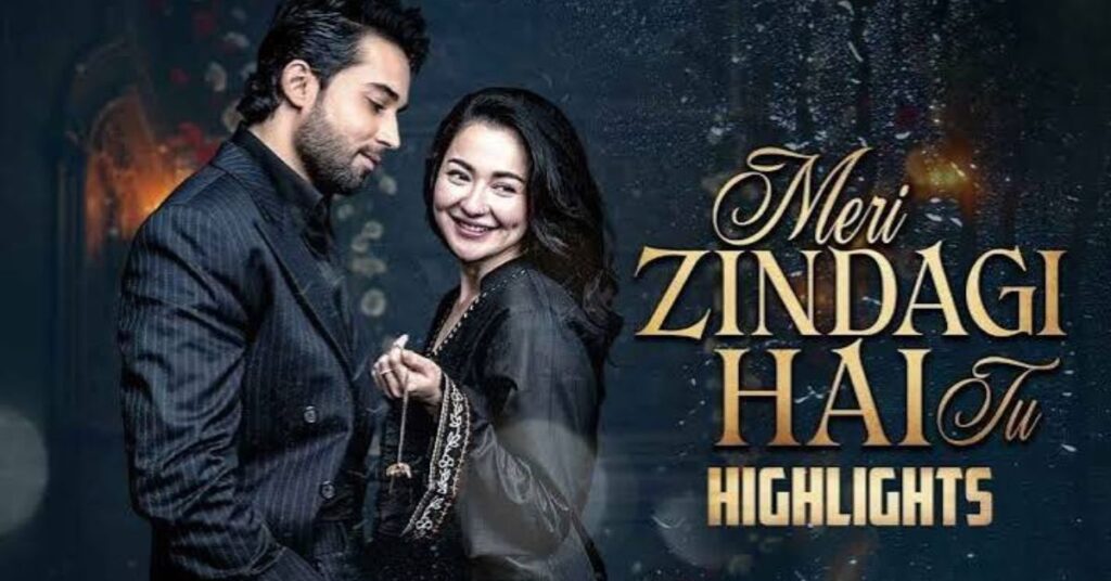 Meri Zindagi Hai Tu Lyrics Translation: Asim Azhar | Sabri Sisters